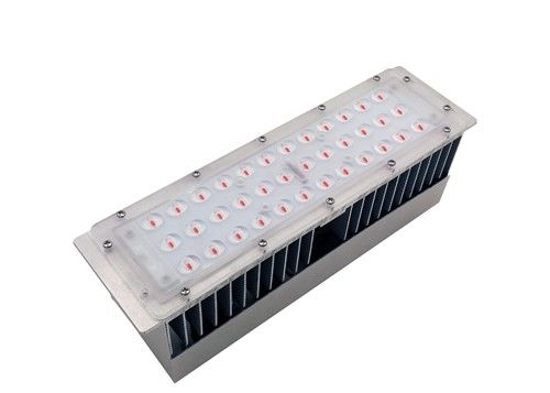 Đèn phát triển thực vật toàn phổ SMD3030 0,75A, Đèn phát triển LED SMD 277Vac