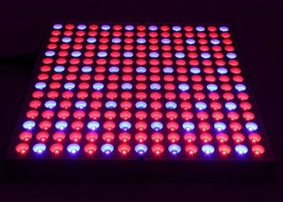 38W 0,5m2 / 0,3m Thủy canh Led Grow Đèn 45W Bảng điều khiển phẳng Cây trồng trong nhà