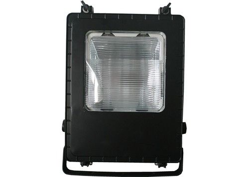100w IP65 Sân vận động Grow Đèn Billboard Quảng cáo Metal Halide