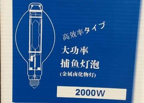 BT220 2000w MH Bóng đèn bóng cá HID Đèn câu mực bằng kim loại Halide