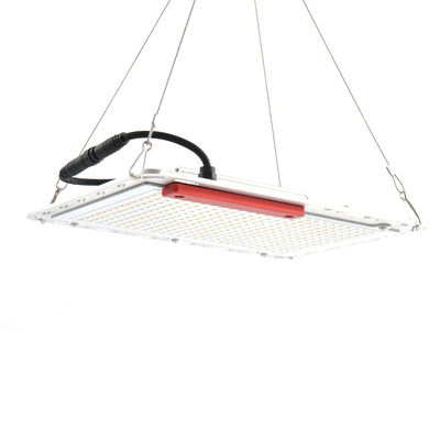 Đèn trồng rau 60Hz 100W Led, Bảng lượng tử SMD5730 Đèn trồng trong nhà