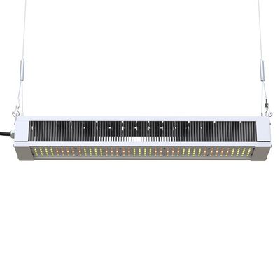 RikoLite 240W Full Spectrum LED Grow Light Thanh mỏng, AL1100 LED Grow Đèn
