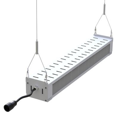 RikoLite 240W Full Spectrum LED Grow Light Thanh mỏng, AL1100 LED Grow Đèn