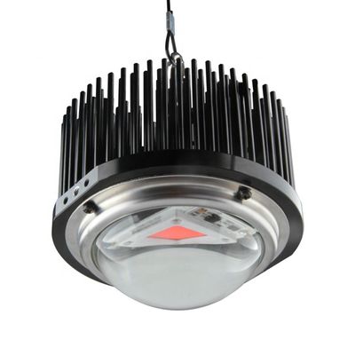 Đèn Grow Led tự chế 50W DOB, Bộ dụng cụ phát triển ánh sáng toàn phổ Cob 1M2