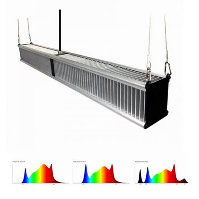 800w 2.7μMol / J Nhà máy trong nhà kính Đèn phát triển làm vườn Đèn LED lai 1000w Thanh mỏng