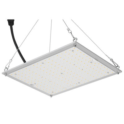 RikoLite 100W 277vac Hydroponics Led Grow Lights Bảng lượng tử 167.3umol / S