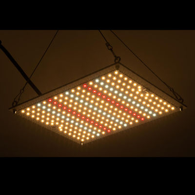 RikoLite 100W 277vac Hydroponics Led Grow Lights Bảng lượng tử 167.3umol / S