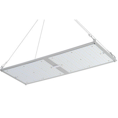 Rikolite 200w Cây thuốc Hệ thống trồng trọt trong nhà Hệ thống trồng trọt thủy canh Bảng lượng tử