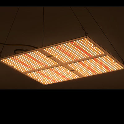 Đèn phát triển Led công suất cao Rikolite 400w, Đèn trồng cây thủy canh 149,6m / W