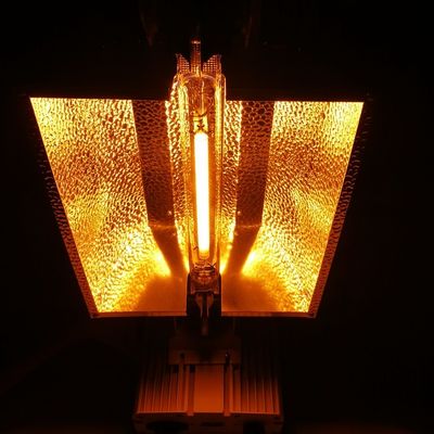 1000W HPS Double Ended Grow Lights Giải pháp chiếu sáng điều khiển từ xa 2100umol / s