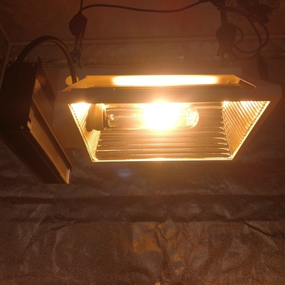 Air PAR Plus CMH 150W Đèn chiếu sáng tăng trưởng ngang cho lều tăng trưởng 2X2