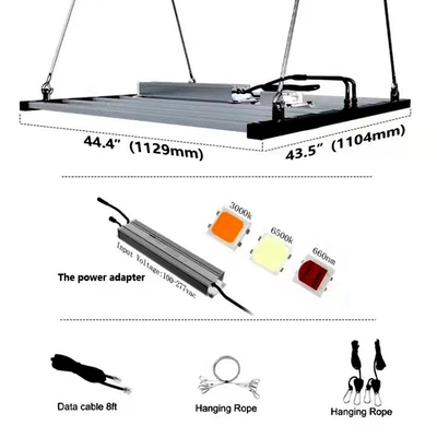 2000umol / S 1000 Watt Led Grow Light Thanh Led Grow Light Strips for Vertical Farming