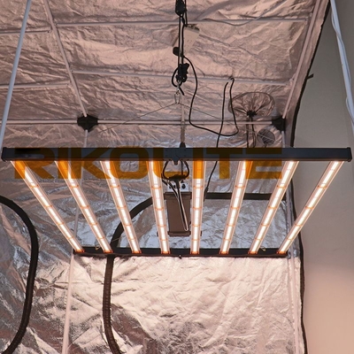 Đèn phát triển công suất cao 5X5 LED LM301B / LM301H Osram 660nm Osram 730nm