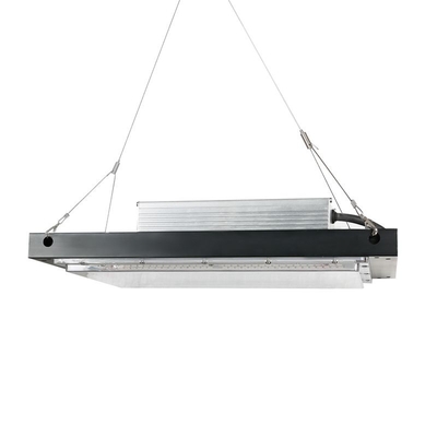 Đèn LED trồng thủy canh 120w 3500k Có thể điều chỉnh độ sáng IP65 Chống nước được xếp hạng
