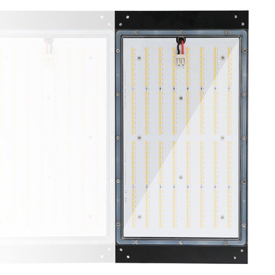 Đèn LED trồng thủy canh 120w 3500k Có thể điều chỉnh độ sáng IP65 Chống nước được xếp hạng