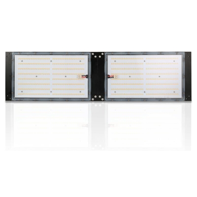 Chống thấm nước IP65 LED Herb Grow Light 240W SAMSUNG Bảng lượng tử cho nông nghiệp