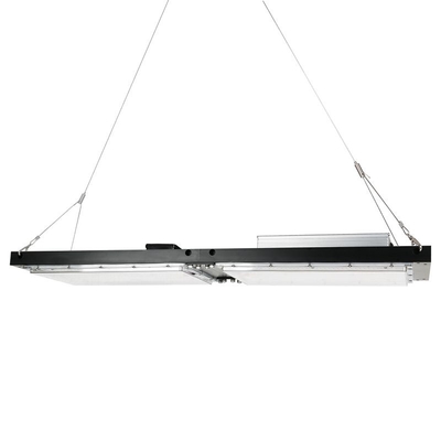 Chống thấm nước IP65 LED Herb Grow Light 240W SAMSUNG Bảng lượng tử cho nông nghiệp