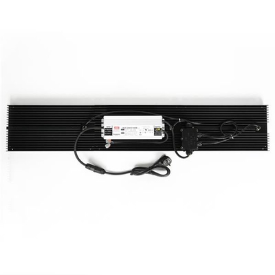 Đèn LED phát triển lượng tử thủy canh IP65 320w Quang phổ đầy đủ cho rau