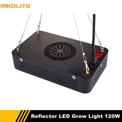 Đèn trồng cây trong nhà 120w 510umol, Đèn phát triển Hydro quang phổ đầy đủ