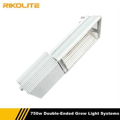 Hệ thống ánh sáng Hidro 750w Double-Ended Grow Light với bóng đèn Hps