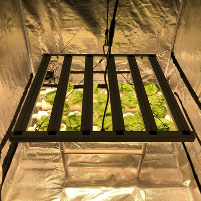 Driver Free Full Spectrum LED Grow Đèn 600w Ballast tương thích cho nông nghiệp