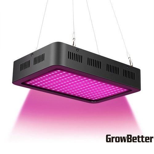 Đèn LED phát triển SMD AC85V 500mA, Đèn phát triển 4,5m2 1000w cho Cây trồng trong nhà