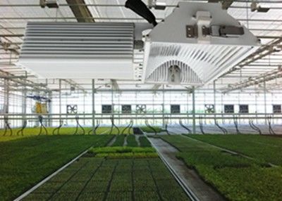 1050µMol / S HID LED Grow Lights, 630W Cây trồng bằng gốm Metal Halide Grow Light