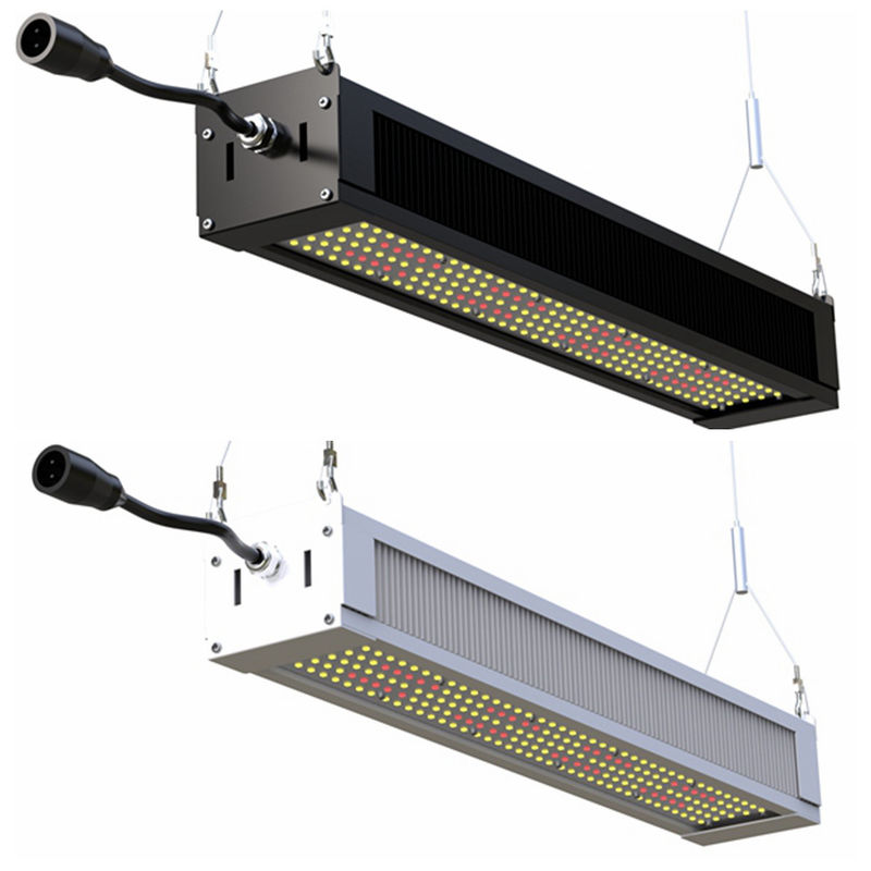 RikoLite 240W Full Spectrum LED Grow Light Thanh mỏng, AL1100 LED Grow Đèn