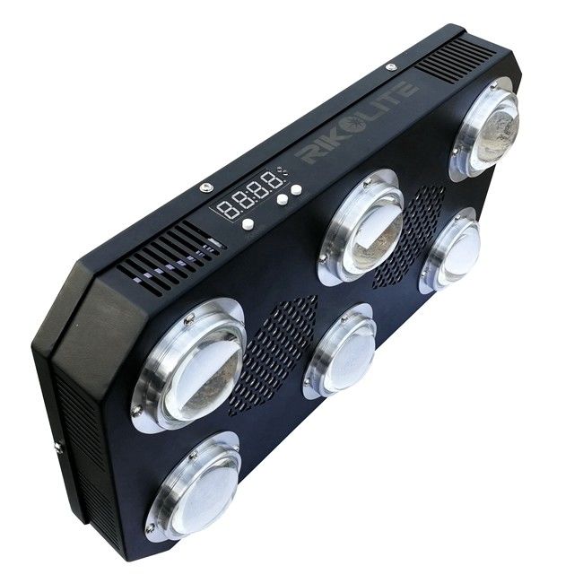 300W 4,2kgs LED COB Grow nhẹ Hoa tản nhiệt Quạt tản nhiệt 24hrs Switch 300w Led Grow Light